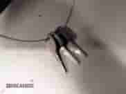 1993 Chevrolet Silverado 2500 с VIN 2GCFK29K9P1244541, выставлен на аукционе IAAI как лот 42159843 с пробегом 185 247 миль миль и . История ставок и продаж доступна на DreamBid. Изображение 11.