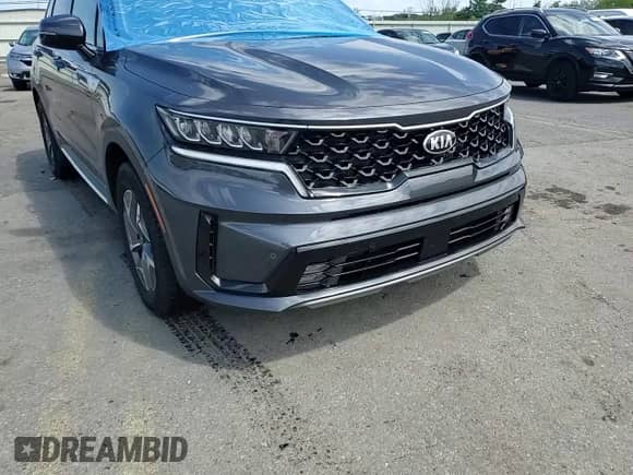 2021 Kia Sorento EX with VIN KNDRH4LG3M5045460, listed as a Copart auction lot 69608965 with 69,498 mi miles and Salvage title. Bid and sale history available at DreamBid. Image 14.