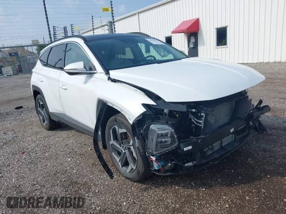 2024 Hyundai Tucson Limited with VIN KM8JECD19RU151169, listed as a IAAI auction lot 43020255 with 16,645 mi miles and . Bid and sale history available at DreamBid. Image 1.