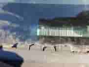 2012 Chevrolet Colorado 2LT with VIN 1GCJSDFE5C8166111, listed as a Copart auction lot 88310415 with 47,534 mi miles and Salvage title. Bid and sale history available at DreamBid. Image 14.