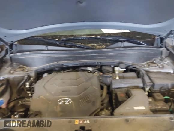 2025 Hyundai Palisade SEL z VIN KM8R2DGE5SU846450, wystawiony jako IAAI lot #43327272 z przebiegiem 25 010 mil mil oraz . Historia ofert i sprzedaży dostępna na DreamBid. Obrazek 10.