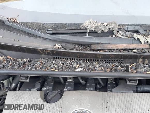 2019 Toyota Prius Plus с VIN JTDKARFP8K3119138, выставлен на аукционе IAAI как лот 42564817 с пробегом 26 200 миль миль и . История ставок и продаж доступна на DreamBid. Изображение 12.