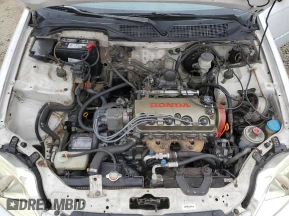 1997 Honda Civic с VIN 1HGEJ8277VL805934, выставлен на аукционе Copart как лот 50817825 с пробегом 353 086 миль миль и Чистый • Clean title. История ставок и продаж доступна на DreamBid. Изображение 11.