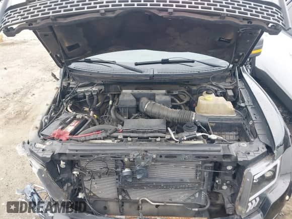 2012 Ford F-150 SVT Raptor with VIN 1FTFW1R66CFB01387, listed as a IAAI auction lot 42104831 with 334,000 mi miles and . Bid and sale history available at DreamBid. Image 10.