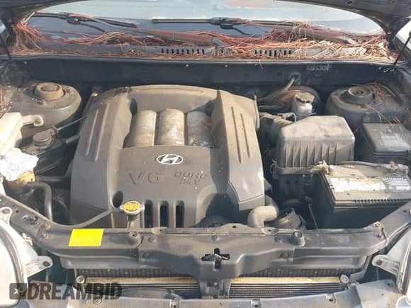 2002 Hyundai Santa Fe GLS с VIN KM8SC13D72U335137, выставлен на аукционе IAAI как лот 42775150 с пробегом 118 282 миль миль и . История ставок и продаж доступна на DreamBid. Изображение 10.