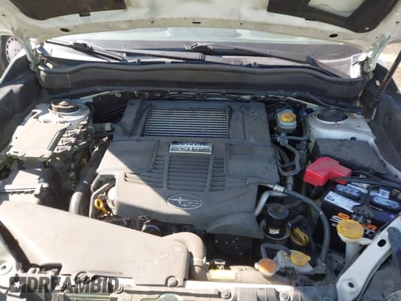 2014 Subaru Forester XT Premium with VIN JF2SJGDC8EH505071, listed as a IAAI auction lot 43121934 with 168,641 mi miles and . Bid and sale history available at DreamBid. Image 10.