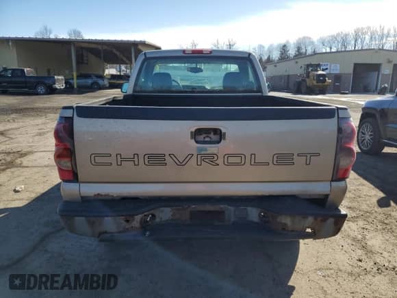 2005 Chevrolet Silverado 1500 with VIN 1GCEK14X05Z188406, listed as a Copart auction lot 46867875 with 202,282 mi miles and Clean title. Bid and sale history available at DreamBid. Image 6.