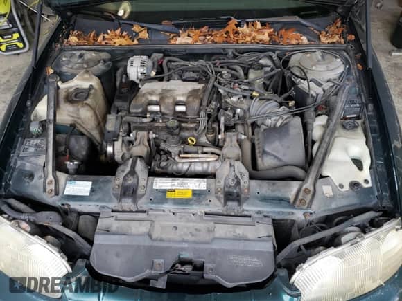 2000 Chevrolet Lumina с VIN 2G1WL52J3Y1198487, выставлен на аукционе Copart как лот 80224224 с пробегом 117 935 миль миль и Чистый • Clean title. История ставок и продаж доступна на DreamBid. Изображение 11.