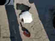 2024 Hyundai Venue SEL с VIN KMHRC8A3XRU320000, выставлен на аукционе Copart как лот 74366054 с пробегом 168 миль миль и Списание • Salvage title. История ставок и продаж доступна на DreamBid. Изображение 12.