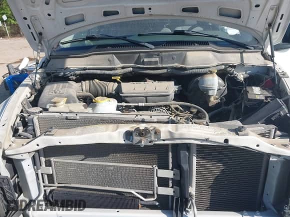 2008 Dodge 1500 ST with VIN 1D7HU16N08J232786, listed as a IAAI auction lot 41979484 with 54,165 mi miles and . Bid and sale history available at DreamBid. Image 10.