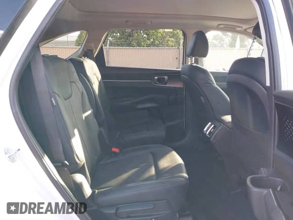 2025 Kia Sorento EX with VIN KNDRJDJH1S5390113, listed as a IAAI auction lot 43316794 with 10,163 mi miles and . Bid and sale history available at DreamBid. Image 8.