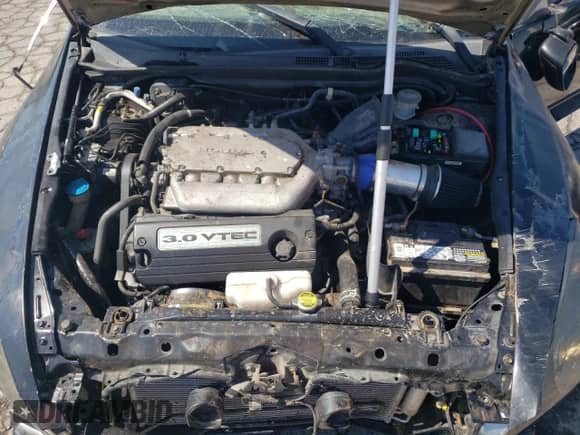 2005 Honda Accord EX-L with VIN 1HGCM82685A002793, listed as a Copart auction lot 70496245 with Not provided miles and Non repairable. Bid and sale history available at DreamBid. Image 11.