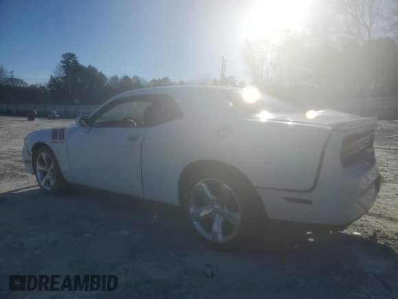 2014 Dodge Challenger R/T Plus with VIN 2C3CDYBT4EH154046, listed as a Copart auction lot 44773895 with 137,685 mi miles and Salvage title. Bid and sale history available at DreamBid. Image 2.