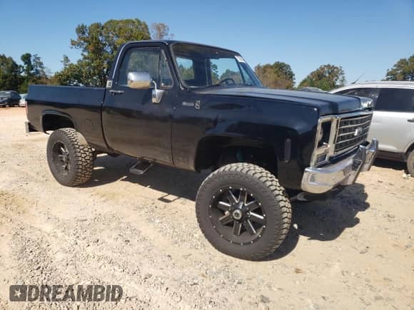 1976 Chevrolet Silverado 1500 z VIN CKL146F346853, wystawiony jako Copart lot #77361484 z przebiegiem 97 728 mil mil oraz Szkoda całkowita • Salvage title. Historia ofert i sprzedaży dostępna na DreamBid. Obrazek 4.