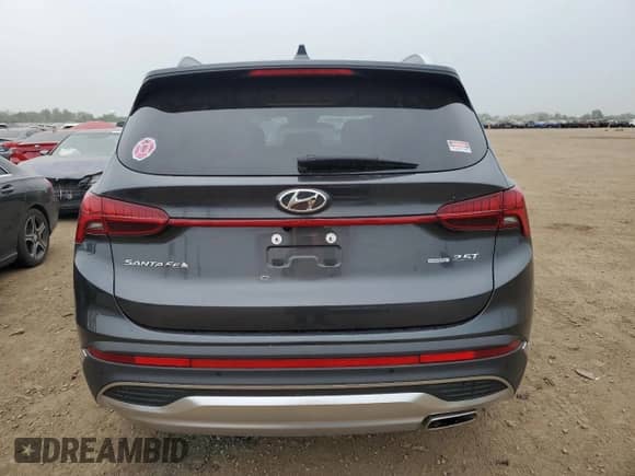 2021 Hyundai Santa Fe Limited with VIN 5NMS4DAL8MH343092, listed as a Copart auction lot 61070645 with 20,187 mi miles and Salvage title. Bid and sale history available at DreamBid. Image 6.