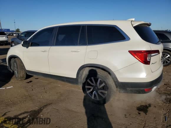 2019 Honda Pilot EX with VIN 5FNYF6H31KB048680, listed as a Copart auction lot 84944625 with 52,965 mi miles and Clean title. Bid and sale history available at DreamBid. Image 2.
