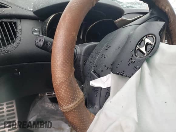 2016 Hyundai Genesis Coupe Ultimate с VIN KMHHU6KJ3GU134743, выставлен на аукционе Copart как лот 88139835 с пробегом Не указан миль и Списание • Salvage title. История ставок и продаж доступна на DreamBid. Изображение 9.