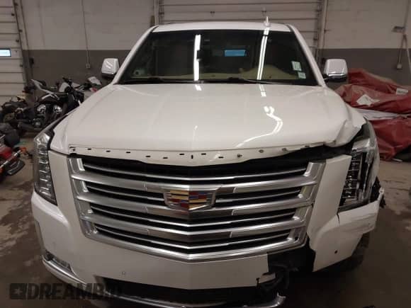 2018 Cadillac Escalade Platinum with VIN 1GYS4DKJ8JR199087, listed as a IAAI auction lot 42062074 with 97,751 mi miles and . Bid and sale history available at DreamBid. Image 13.