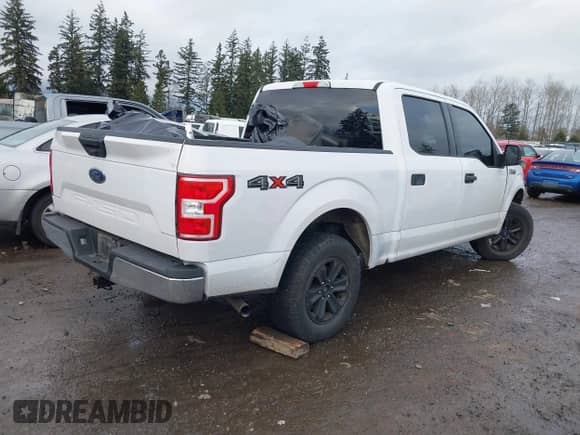2018 Ford F-150 XL z VIN 1FTEW1EB1JKE15855, wystawiony jako IAAI lot #41496390 z przebiegiem 83 213 mil mil oraz . Historia ofert i sprzedaży dostępna na DreamBid. Obrazek 4.