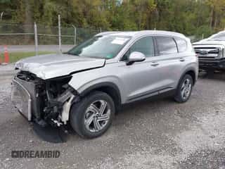 2023 Hyundai Santa Fe SEL с VIN 5NMS24AJ2PH510099, выставлен на аукционе IAAI как лот 43374398 с пробегом 30 391 миль миль и . История ставок и продаж доступна на DreamBid. Изображение 2.