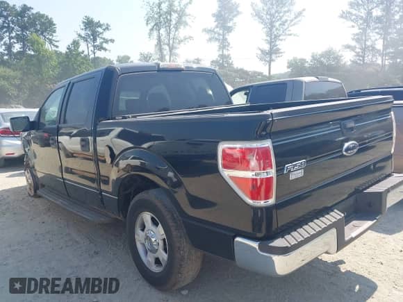 2009 Ford F-150 XL with VIN 1FTRW12809FA72857, listed as a IAAI auction lot 42571300 with 194,316 mi miles and . Bid and sale history available at DreamBid. Image 14.