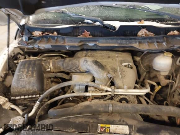 2014 Ram 1500 Big Horn z VIN 1C6RR7LT2ES365908, wystawiony jako IAAI lot #41333305 z przebiegiem 157 623 mil mil oraz . Historia ofert i sprzedaży dostępna na DreamBid. Obrazek 10.