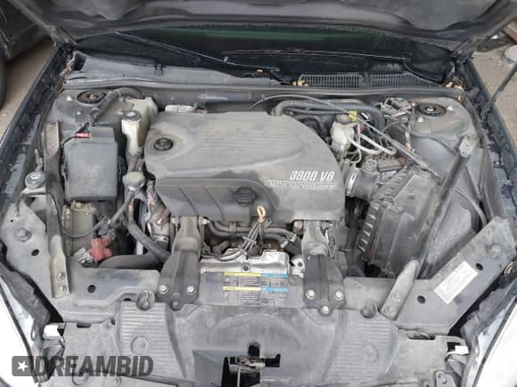 2008 Chevrolet Impala LT with VIN 2G1WC583081233446, listed as a IAAI auction lot 43241609 with 219,302 mi miles and . Bid and sale history available at DreamBid. Image 10.