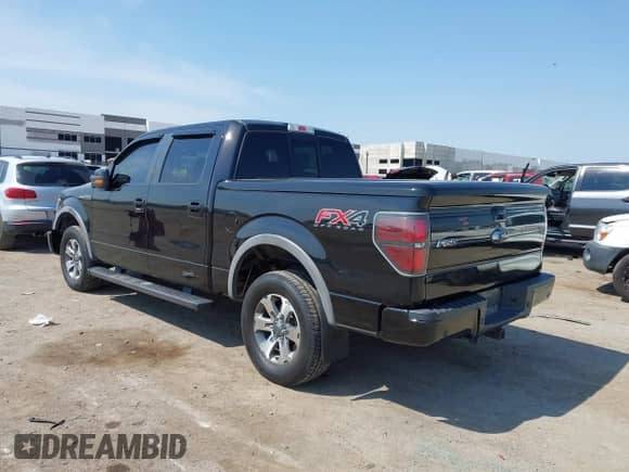 2014 Ford F-150 XLT with VIN 1FTFW1E64EFD14542, listed as a IAAI auction lot 43034880 with 197,620 mi miles and . Bid and sale history available at DreamBid. Image 3.