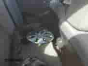 2015 Hyundai Accent GS с VIN KMHCT5AEXFU230220, выставлен на аукционе Copart как лот 84223265 с пробегом Не указан миль и Списание • Salvage title. История ставок и продаж доступна на DreamBid. Изображение 10.