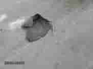 2024 Chevrolet Malibu LT with VIN 1G1ZD5ST2RF184280, listed as a Copart auction lot 90238215 with 49,974 mi miles and Clean title. Bid and sale history available at DreamBid. Image 12.