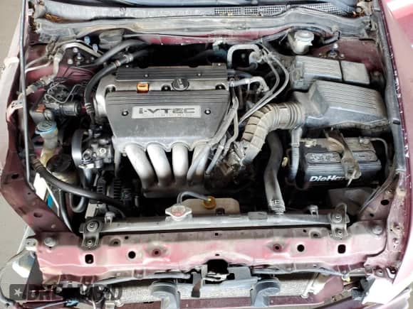 2004 Honda Accord EX with VIN 1HGCM56764A161635, listed as a Copart auction lot 81404475 with 229,218 mi miles and Salvage title. Bid and sale history available at DreamBid. Image 11.