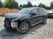 2020 Hyundai Palisade SEL с VIN KM8R34HE6LU082217, выставлен на аукционе Copart как лот 62625044 с пробегом 88 310 миль миль и Списание • Salvage title. История ставок и продаж доступна на DreamBid. Изображение 1.