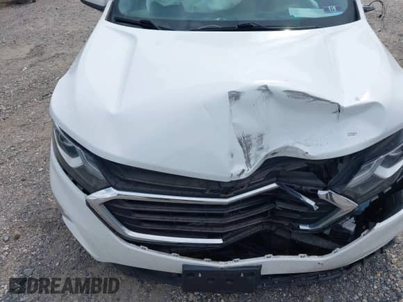 2019 Chevrolet Equinox LT z VIN 2GNAXTEV8K6239836, wystawiony jako IAAI lot #42742280 z przebiegiem 94 215 mil mil oraz . Historia ofert i sprzedaży dostępna na DreamBid. Obrazek 6.