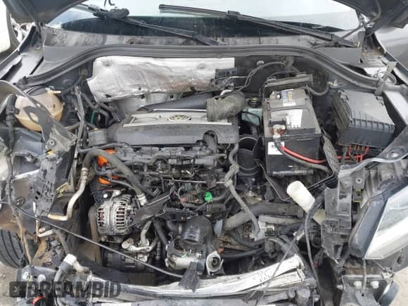 2015 Volkswagen Tiguan S with VIN WVGAV7AX8FW592212, listed as a IAAI auction lot 43257943 with 162,288 mi miles and . Bid and sale history available at DreamBid. Image 10.