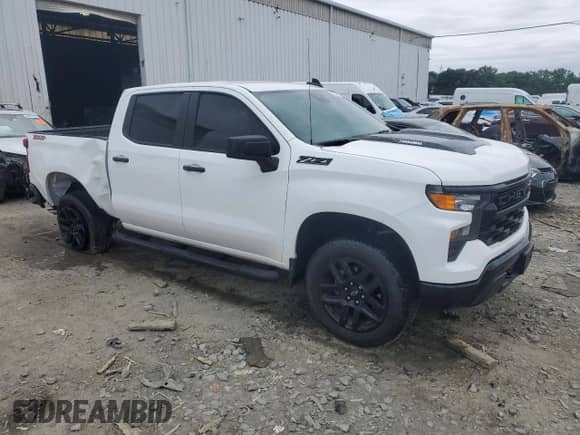 2024 Chevrolet Silverado 1500 Custom Trail Boss with VIN 3GCPDCEK5RG415550, listed as a Copart auction lot 62871545 with 14,296 mi miles and Salvage title. Bid and sale history available at DreamBid. Image 4.