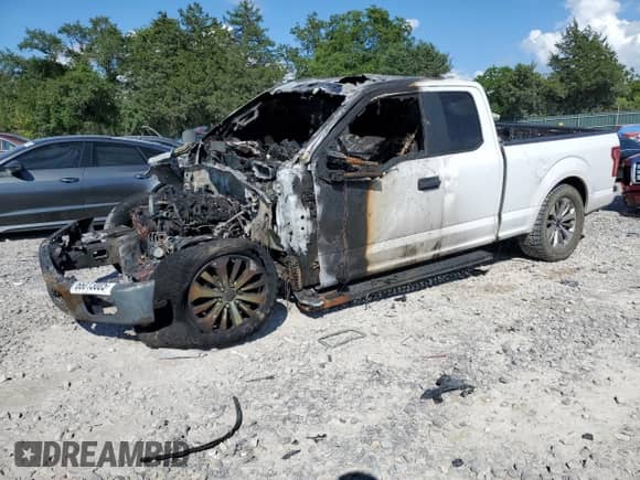 2017 Ford F-150 XL with VIN 1FTEX1CP2HKC68841, listed as a Copart auction lot 66013005 with Not provided miles and Non repairable. Bid and sale history available at DreamBid. Image 1.