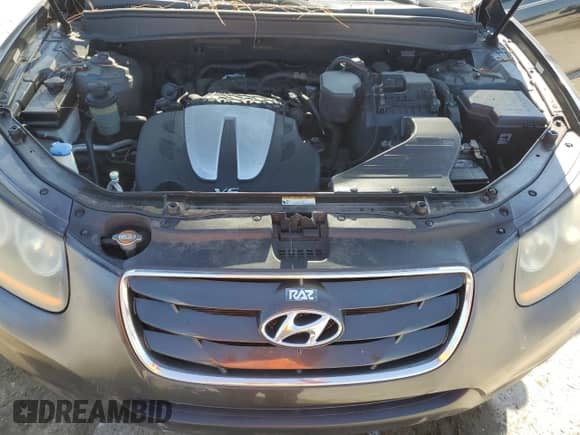 2010 Hyundai Santa Fe SE with VIN 5NMSH4AG0AH354106, listed as a Copart auction lot 82251835 with 152,374 mi miles and Clean title. Bid and sale history available at DreamBid. Image 12.