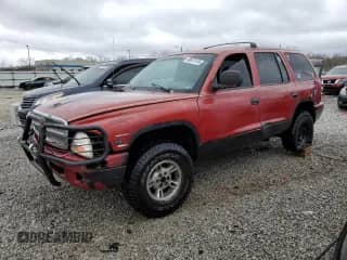 1999 Dodge Durango with VIN 1B4HS28Y4XF501240, listed as a Copart auction lot 49874145 with 204,629 mi miles and Non repairable. Bid and sale history available at DreamBid. Image 1.