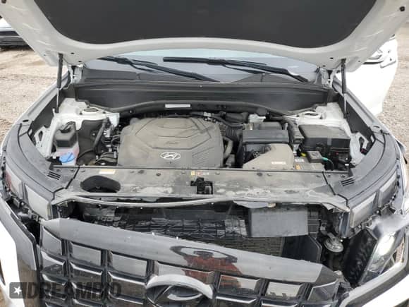 2023 Hyundai Palisade SEL with VIN KM8R2DGE3PU526177, listed as a Copart auction lot 66593254 with 32,165 mi miles and Salvage title. Bid and sale history available at DreamBid. Image 14.