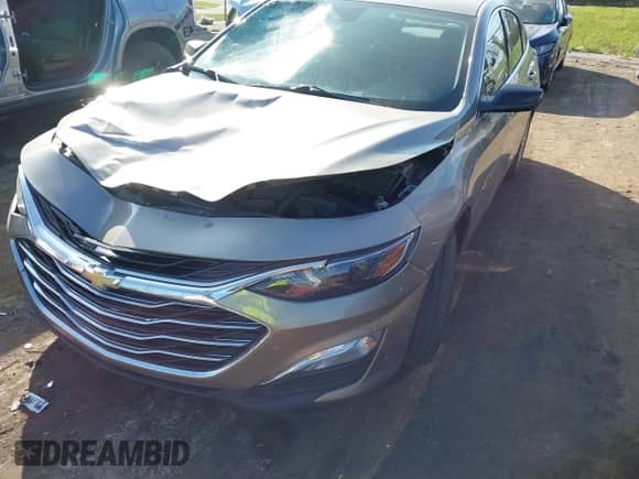 2023 Chevrolet Malibu LS с VIN 1G1ZC5ST8PF157357, выставлен на аукционе IAAI как лот 40618450 с пробегом 50 556 миль миль и . История ставок и продаж доступна на DreamBid. Изображение 2.