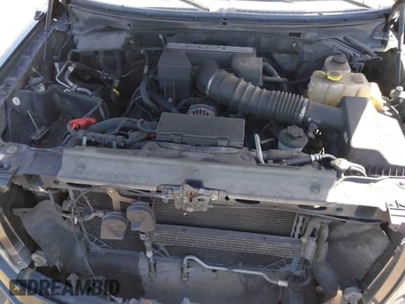 2012 Ford F-150 Lariat with VIN 1FTFW1E62CFC17238, listed as a IAAI auction lot 41731289 with Not provided miles and . Bid and sale history available at DreamBid. Image 10.