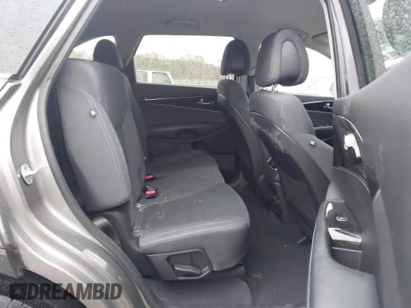 2017 Kia Sorento LX z VIN 5XYPGDA58HG209729, wystawiony jako IAAI lot #43548801 z przebiegiem 199 270 mil mil oraz . Historia ofert i sprzedaży dostępna na DreamBid. Obrazek 8.