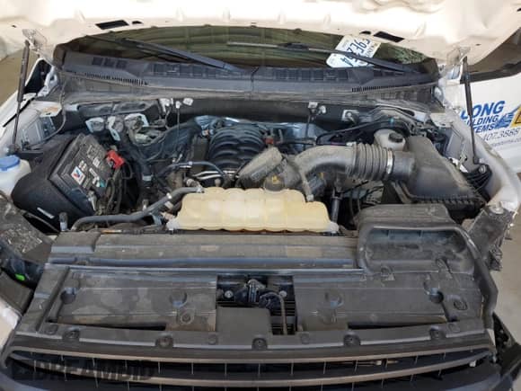 2020 Ford F-150 XL с VIN 1FTFX1E5XLFC16066, выставлен на аукционе Copart как лот 63224005 с пробегом 91 868 миль миль и Списание • Salvage title. История ставок и продаж доступна на DreamBid. Изображение 11.