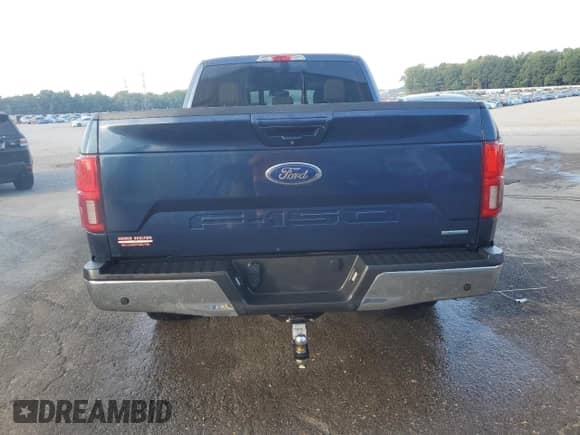 2019 Ford F-150 XL with VIN 1FTEX1CP4KFA23345, listed as a Copart auction lot 81484295 with 70,828 mi miles and Salvage title. Bid and sale history available at DreamBid. Image 6.
