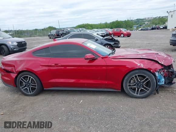 2023 Ford Mustang EcoBoost с VIN 1FA6P8TH8P5101375, выставлен на аукционе IAAI как лот 42248126 с пробегом 49 128 миль миль и . История ставок и продаж доступна на DreamBid. Изображение 13.