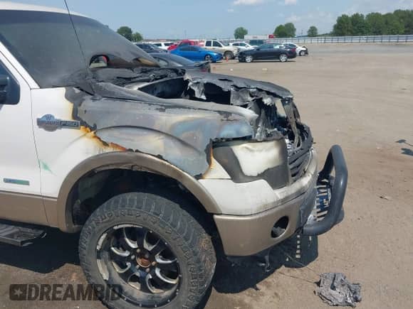 2013 Ford F-150 XL with VIN 1FTFW1ET5DKE96439, listed as a IAAI auction lot 42919120 with Not provided miles and . Bid and sale history available at DreamBid. Image 13.