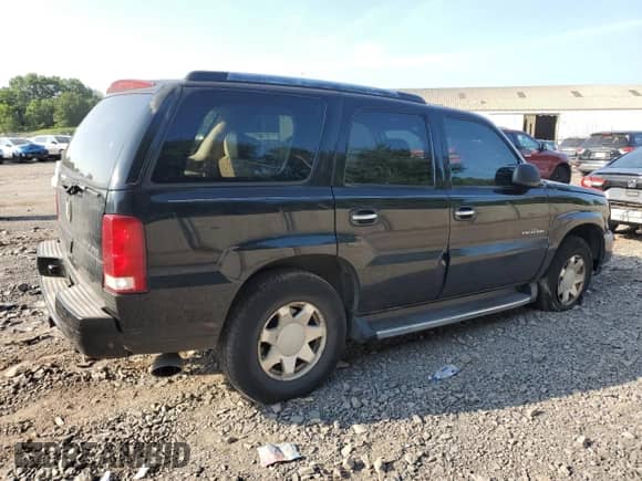 2002 Cadillac Escalade with VIN 1GYEK63N32R301803, listed as a Copart auction lot 66180255 with 196,281 mi miles and Salvage title. Bid and sale history available at DreamBid. Image 3.