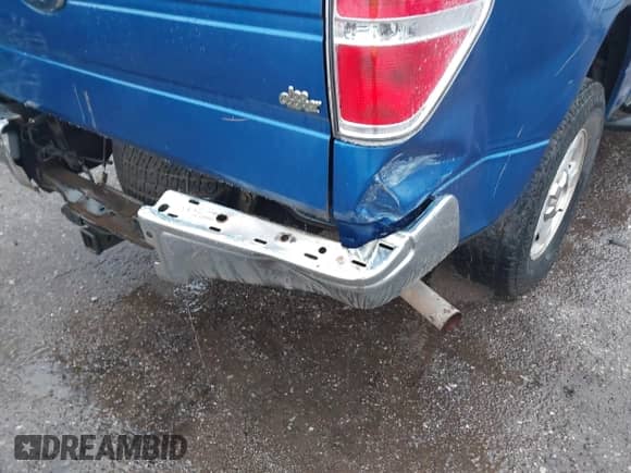 2010 Ford F-150 XL with VIN 1FTEW1C87AKA66417, listed as a IAAI auction lot 42173129 with 266,547 mi miles and . Bid and sale history available at DreamBid. Image 20.