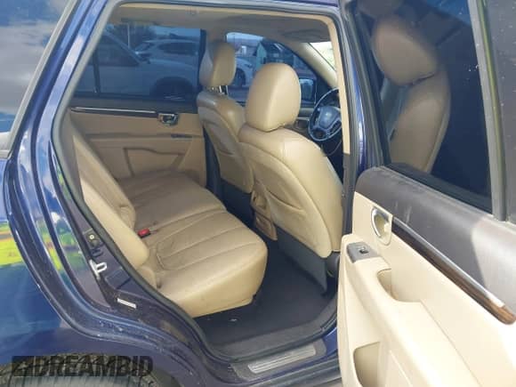 2010 Hyundai Santa Fe Limited with VIN 5NMSK4AG8AH409001, listed as a IAAI auction lot 43535390 with 315,917 mi miles and . Bid and sale history available at DreamBid. Image 8.
