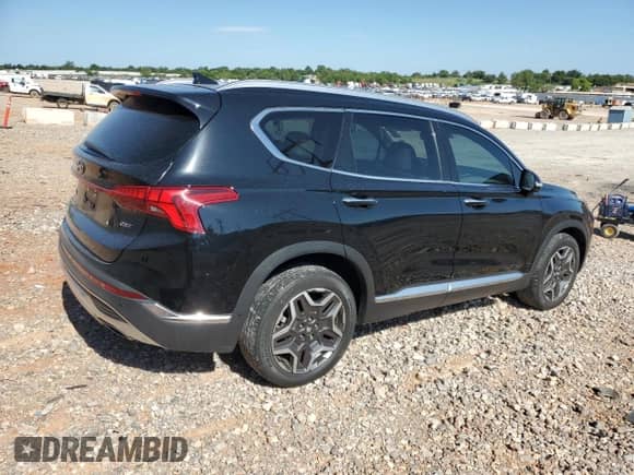 2021 Hyundai Santa Fe Limited with VIN 5NMS44AL7MH318829, listed as a Copart auction lot 66167225 with 58,344 mi miles and Salvage title. Bid and sale history available at DreamBid. Image 3.